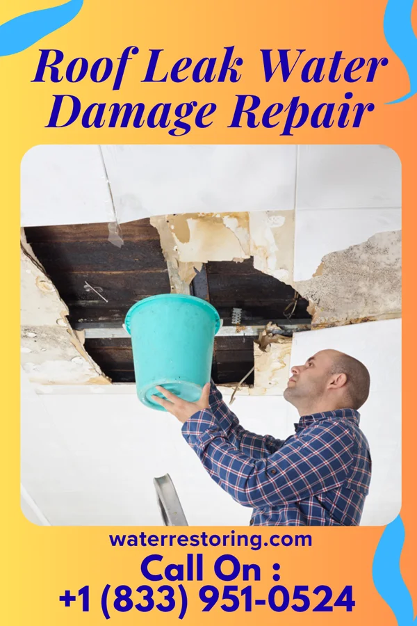 Roof Leak Water Damage Repair in Cold Springs, CA